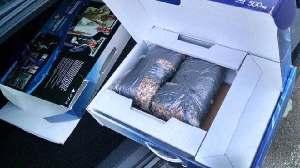 Американцу продали булыжники вместо PlayStation 4 - Изображение 1 Американцу продали булыжники вместо PlayStation 4 - Изображение 1