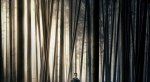 Удивительная смесь средневековья и современности в новом трейлере фильма «Робин Гуд: Начало». - Изображение 1